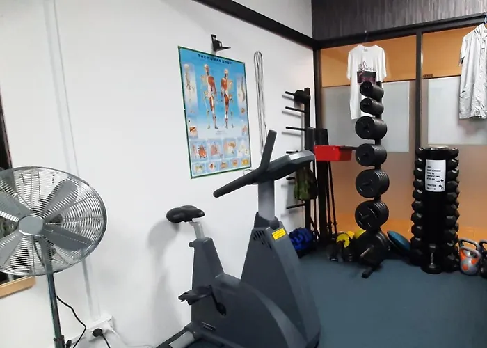 营地 Lioness - Fitness For Hire *